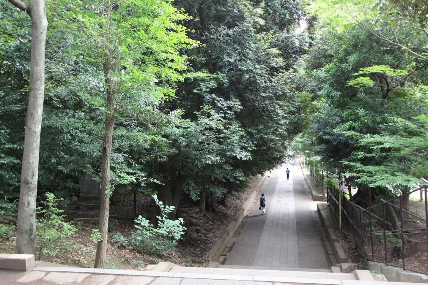 Building A101 / Vacation Stay 1275 Tokyo Bagian luar foto